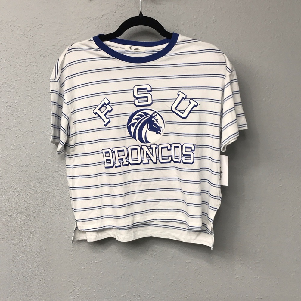 Striped Blue and White Crop Top